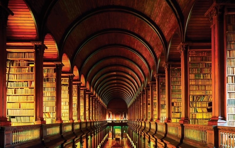 İlim, Âlim ve Amel