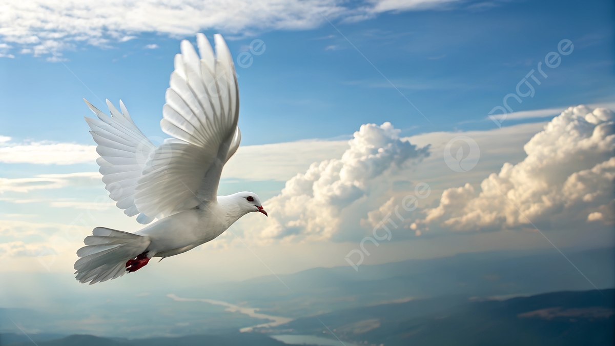 İSTİBDAT, MEŞRUTİYET VE CUMHURİYET KAVRAMLARININ HİKÂYESİ